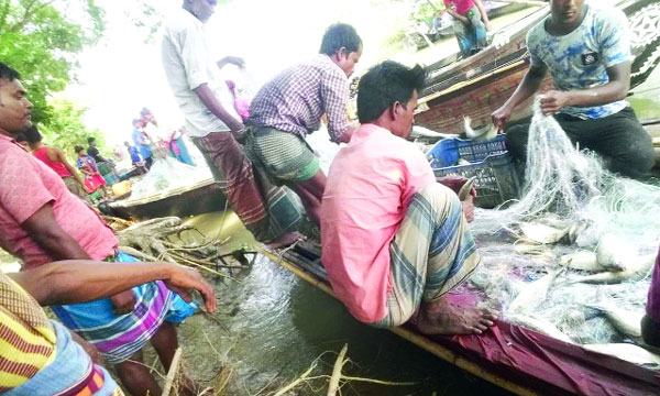 মতলব উত্তর মেঘনার চরাঞ্চলে জমজমাট ইলিশের হাট