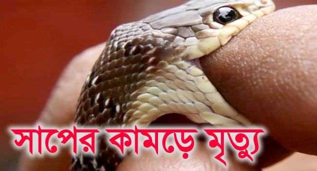 মাছ ধরতে গিয়ে প্রাণ গেল কৃষকের