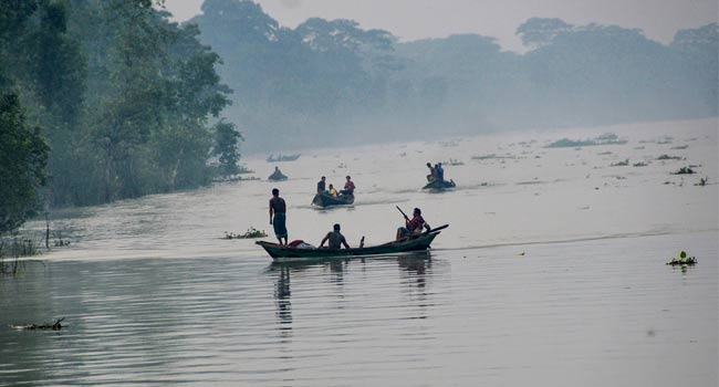 চলছে ইলিশ শিকারের মহোৎসব