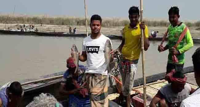 গোয়ালন্দে পদ্মা নদীতে ইলিশ শিকারের ধুম!