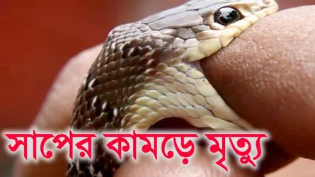 ঘুমের মধ্যেই সাপের কামড়ে ছটফট করে প্রাণ গেল ৭ম শ্রেণীর ছাত্রীর