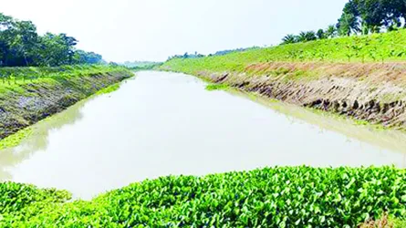 চৌগাছায় ভৈরব নদ দখল করে মাছচাষ