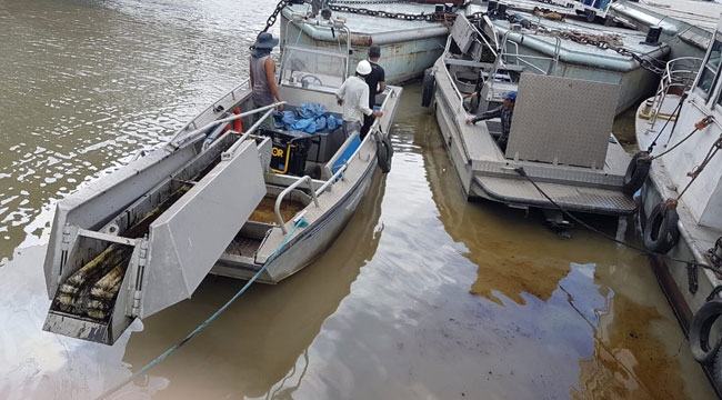 কর্ণফুলীতে ভাসছে তেল, ব্যবস্থা নিতে পরিবেশ অধিদফতরকে চিঠি