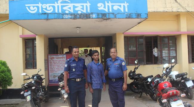 ভাণ্ডারিয়ায় স্কুলছাত্রীকে ধর্ষণের মামলায় স্কুলছাত্র গ্রেফতার