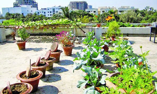 অবসর হোক আনন্দময়