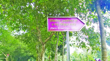 দিনে দিনে ঘোরাঘুরি