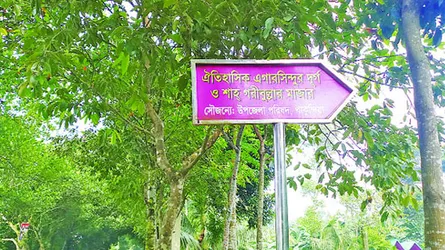 দিনে দিনে ঘোরাঘুরি