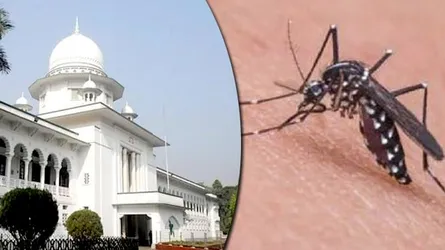 ডেঙ্গুতে মৃতের সংখ্যা জানতে চেয়েছেন হাইকোর্ট