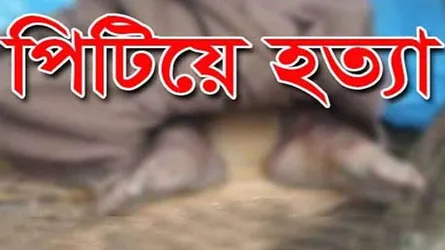 সিরাজদিখানে জমি দখলে বাধা দেয়ায় পিটিয়ে হত্যা, আহত ২