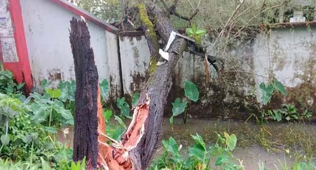 বরগুনায় বুলবুলের তাণ্ডবে বেরিবাধ ভাঙ্গণ,নিম্নাঞ্চল প্লাবিত