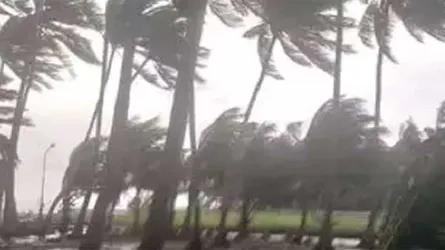 ১২০ কিলোমিটার বেগে সুন্দরবনে আছড়ে পড়ে বুলবুল