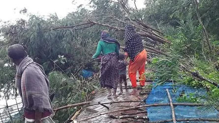 ঘূর্ণিঝড় বুলবুল : ফকিরহাটে নারী নিহত