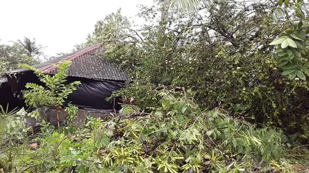 ঘূর্ণিঝড় ‘বুলবুল’র তাণ্ডব : বরগুনায় আশ্রয়কেন্দ্রে নারীর মৃত্যু