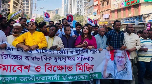 পেঁয়াজের মূল্য বৃদ্ধির জন্য সরকারি সিন্ডিকেট দায়ী : রিজভী