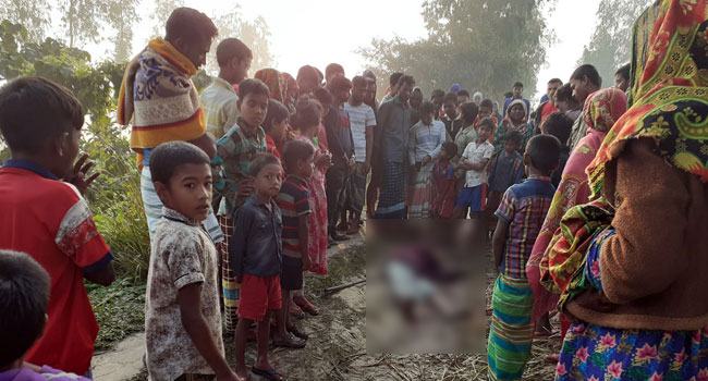 তাড়াশে বৃদ্ধকে কুপিয়ে হত্যা