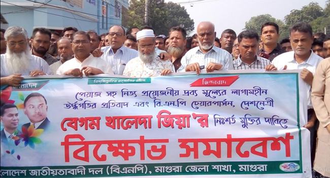 মাগুরায় বিএনপির বিক্ষোভ মিছিল-সমাবেশ