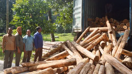 কুমিল্লায় কাভার্ডভ্যান থেকে ১০ লাখ টাকা মূল্যের সেগুন কাঠ জব্দ