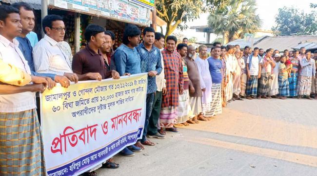 সাপাহারে ৮ হাজার আমগাছ কাটায় জড়িতদের শাস্তির দাবিতে মানববন্ধন