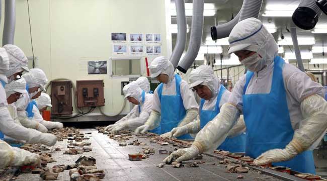 সাড়ে ৩ লাখ দক্ষ শ্রমিক নেবে জাপান, বেতন দুই লাখ