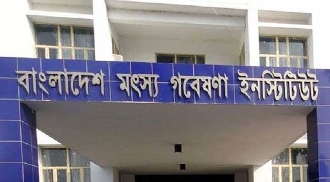 জনবলের চেয়ে বেশি ব্যয় পরামর্শকে