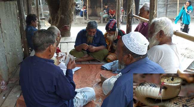 সাপুড়েদের সময় কাটে চায়ের আড্ডা আর তুরুপের তাসে