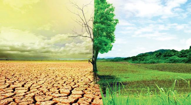 জলবায়ু পরিবর্তন মোকাবেলায় বদ্বীপ পরিকল্পনা