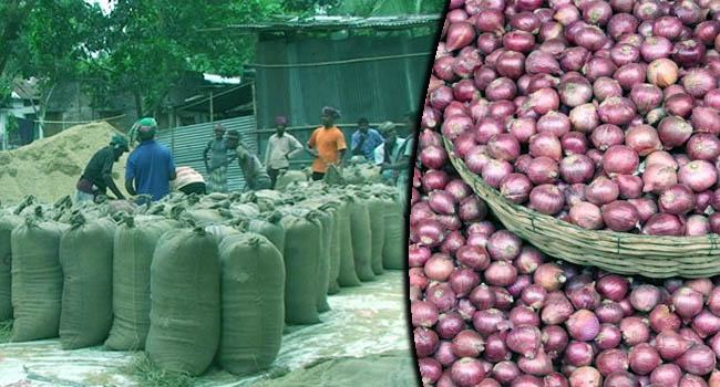 এক মণ ধানে দুই কেজি পেঁয়াজ : হতাশায় কৃষক