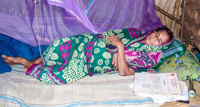 স্বামীর মুক্তিযুদ্ধের স্মৃতি নিয়ে মানবেতর দিন কাটাচ্ছেন ভিক্ষুক স্ত্রী