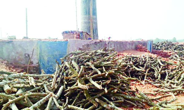 ভালুকার আবাসিক ও ফসলি জমিতে একের পর এক ইটভাটা