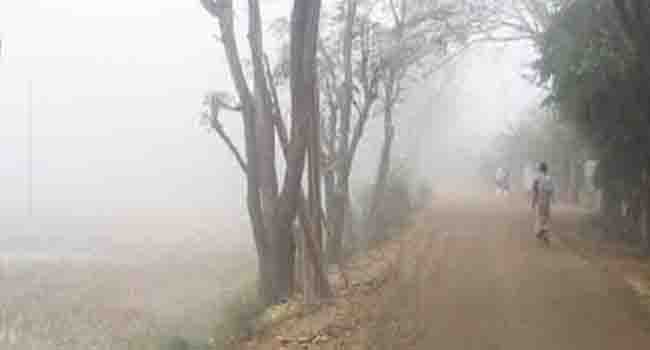 তীব্র শীতে কাঁপছে চুয়াডাঙ্গা