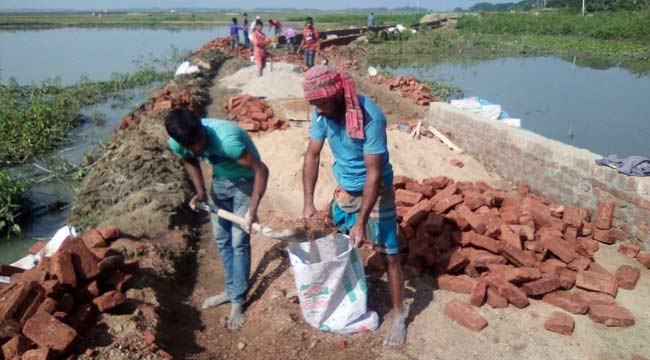 ধর্মপাশায় সড়ক নির্মাণে নিম্নমানের সামগ্রী ব্যবহারের অভিযোগ