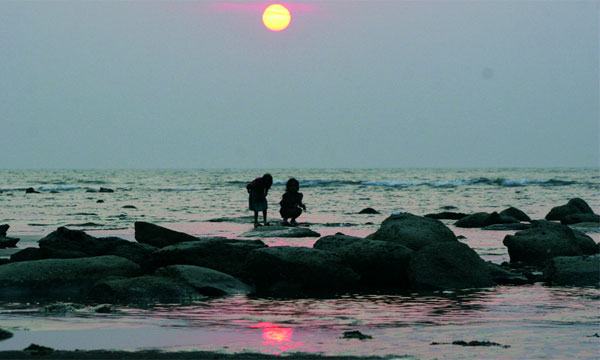 বিদায় ২০১৯