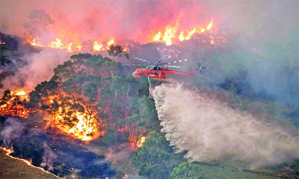 অস্ট্রেলিয়ায় দাবানল থেকে বাঁচতে সৈকতে হাজারো মানুষ