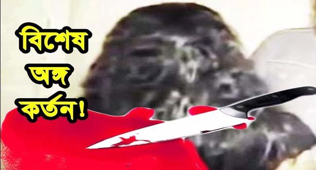 লম্পটের লিঙ্গ কেটে দিলেন প্রবাসীর স্ত্রী