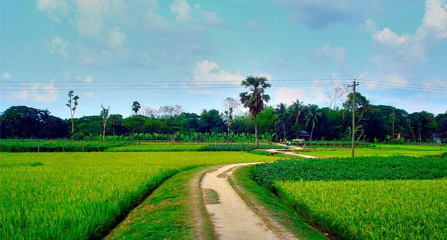 প্রকৃতির প্রতিদান