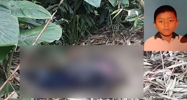নাটোরে নিখোঁজের সাতদিন পর শিশুর মাথাবিহীন লাশ উদ্ধার
