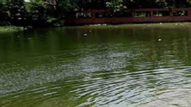 মারধর করে ইমামকে ফেলে দেয়া হলো পানিতে