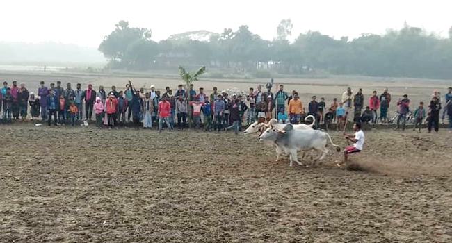 ঐতিহ্যবাহি হালদৌড় প্রতিযোগিতা