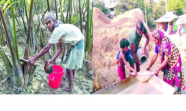 গোলের রসে তৈরি হচ্ছে গুড়