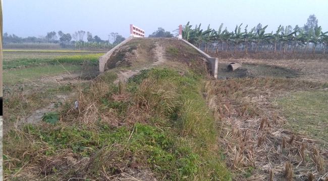 তাল গাছের মতো এক পায়ে দাঁড়িয়ে আছে সড়কবিহীন ব্রিজটি