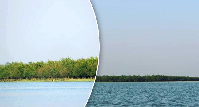 সম্ভাবনাময় পর্যটন কেন্দ্র কাঁঠালিয়ায় ছৈলার চর