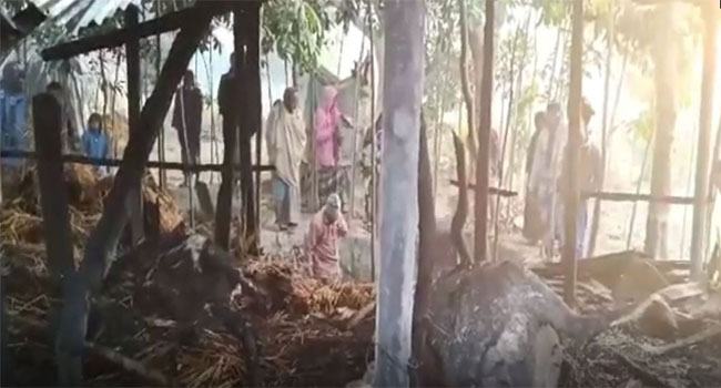 নাটোরে গোয়ালঘরে আগুন, পুড়ে মরল ২টি গরু