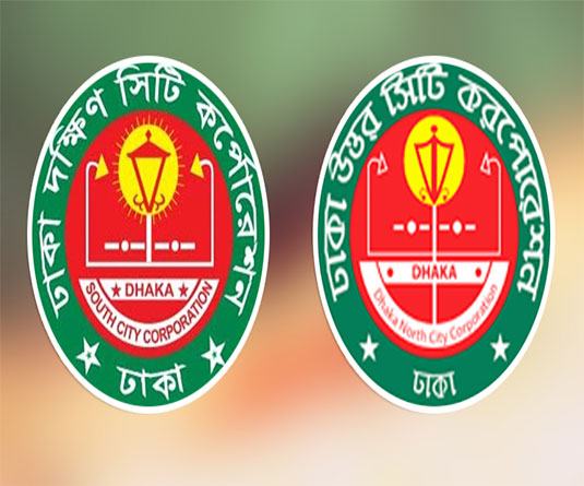 জয়ী হবেন না জেনেও নির্বাচনী দৌড়ে তারা