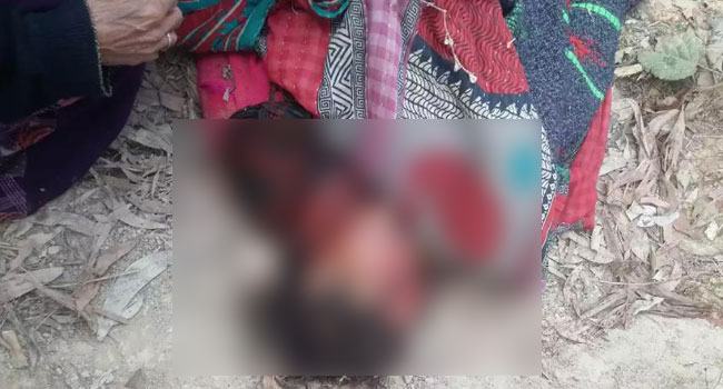 বান্দরবানে বন্য হাতির আক্রমণে বৃদ্ধা নিহত