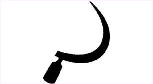 নির্বাচন কমিশন সম্পূর্ণ ব্যর্থ : সিপিবি মেয়রপ্রার্থী