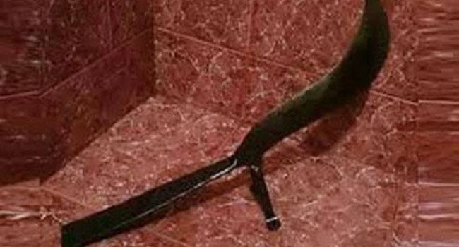 নিজের গলা কেটে বৃদ্ধার আত্মহত্যার চেষ্টা