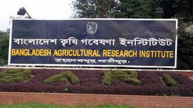 নেদারল্যান্ডসের ভূমি ও পানি ব্যবস্থাপনা বিশেষজ্ঞের বারি পরিদর্শন