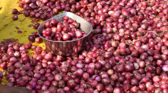 আমদানি করা পেঁয়াজ নিয়ে বিপাকে ভারত