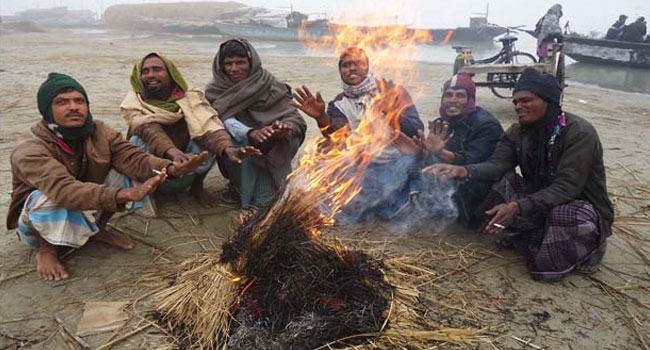 ‘মাঘের শীত বাঘের গায়’