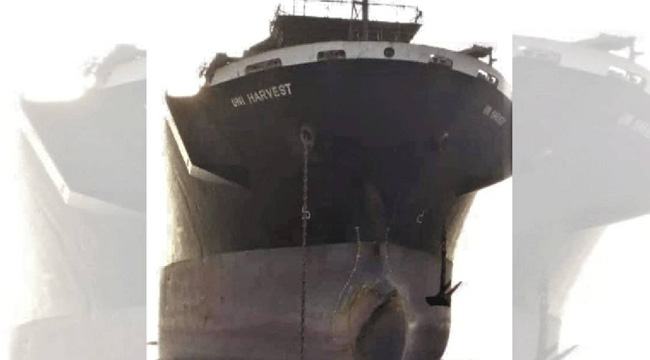 অবশেষে নিজ দেশে ফিরে যাচ্ছেন সেই ১৭ চীনা নাবিক